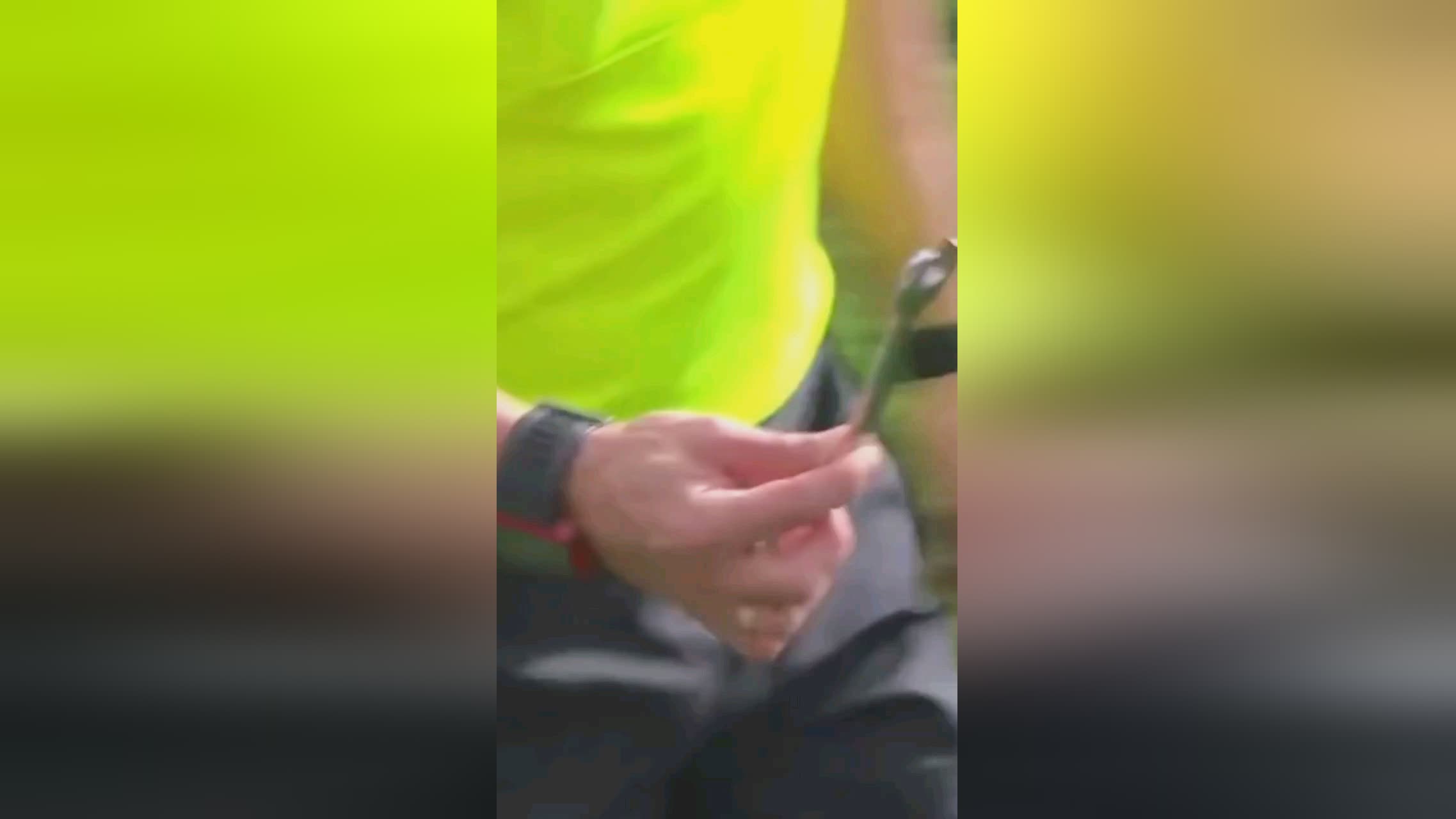 的前